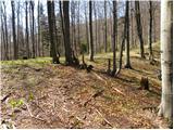 Kraljev hrib - Gradišče (Velika planina)